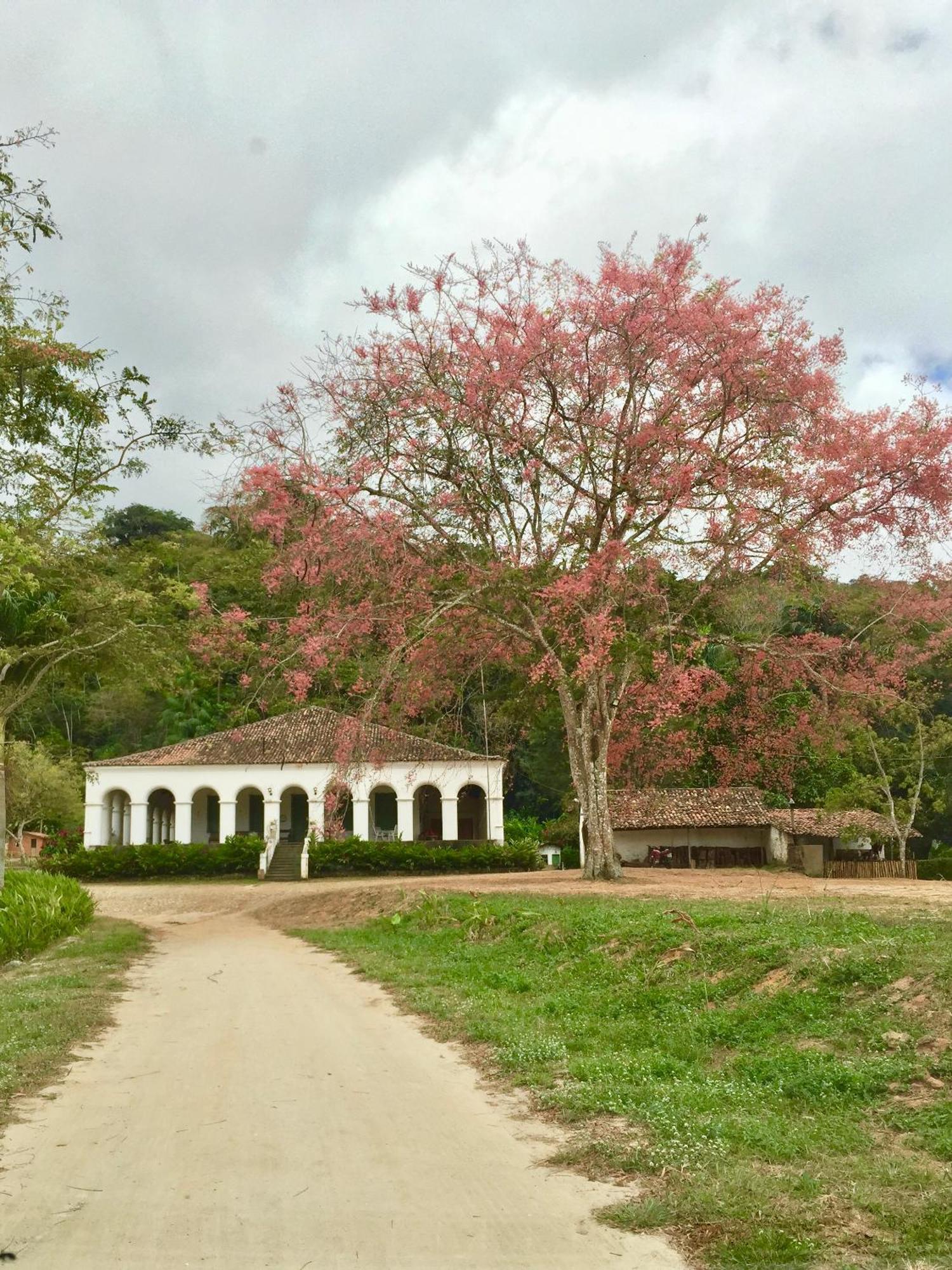 Chalé Suíço - Chalés Belo Monte - Sítio Belo Monte Pacoti Exterior foto